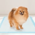 thumbnail image 2 of Gymax 24''x 17''(300 Counts) Dog Potty Training Pads Puppy Pee Pads w/ Quick-Drying, 2 of 10