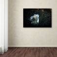 thumbnail image 3 of Trademark Fine Art "Out of the Darkness" Canvas Art by Yale Gurney, 3 of 3