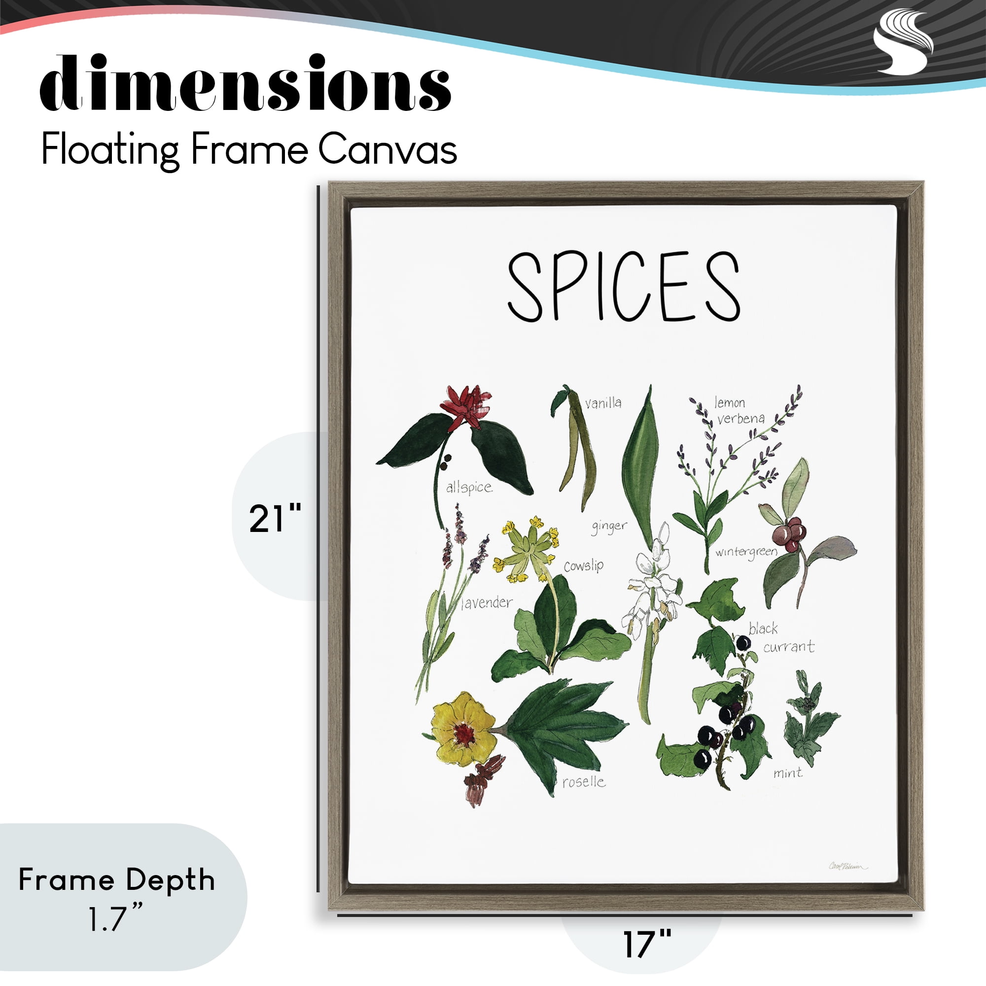 Stupell Industries Spices Identification Chart Brown Framed Floater Canvas Wall Art, design by Carol Robinson