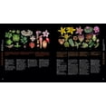 thumbnail image 4 of Atlas of Flowering Plants: Visual Studies of 200 Deconstructed Botanical Families (Hardcover), 4 of 6