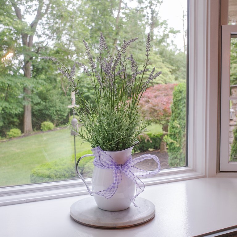 White Enamel Pitcher with Vintage Style - Farmhouse Wares