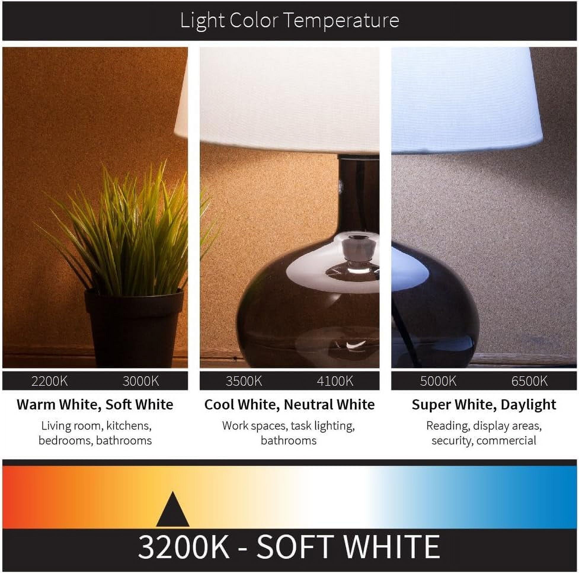 Diodesy- Pack of 4 60G40/SB Incandescent Silver Bowl Globe Light Bulb, E26 Medium Base, 60 Watts, 2600K Warm White, 120 Volts, G40 Bulb for Vanity/Lamps, 2000 Lifespan Hour, Title 20 Compliant