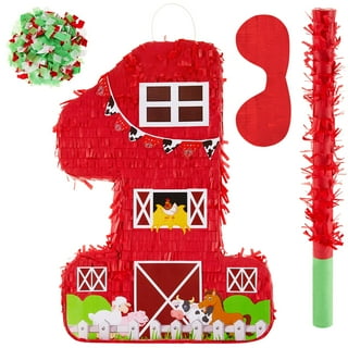 Pinata Number 1, Floral 1st Birthday Party Supplies (16.5 x 11 x 3 In) -  Bed Bath & Beyond - 33034869