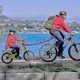 thumbnail image 5 of Abschleppseil Fahrrad Kinder Tow Rope Fr Fahrrad Abschleppgurt Elastisch Fahrrad Bungee Abschleppseil,, Tragfhigkeit 500 Lbs(rot - 170cm) Zekai, 5 of 5