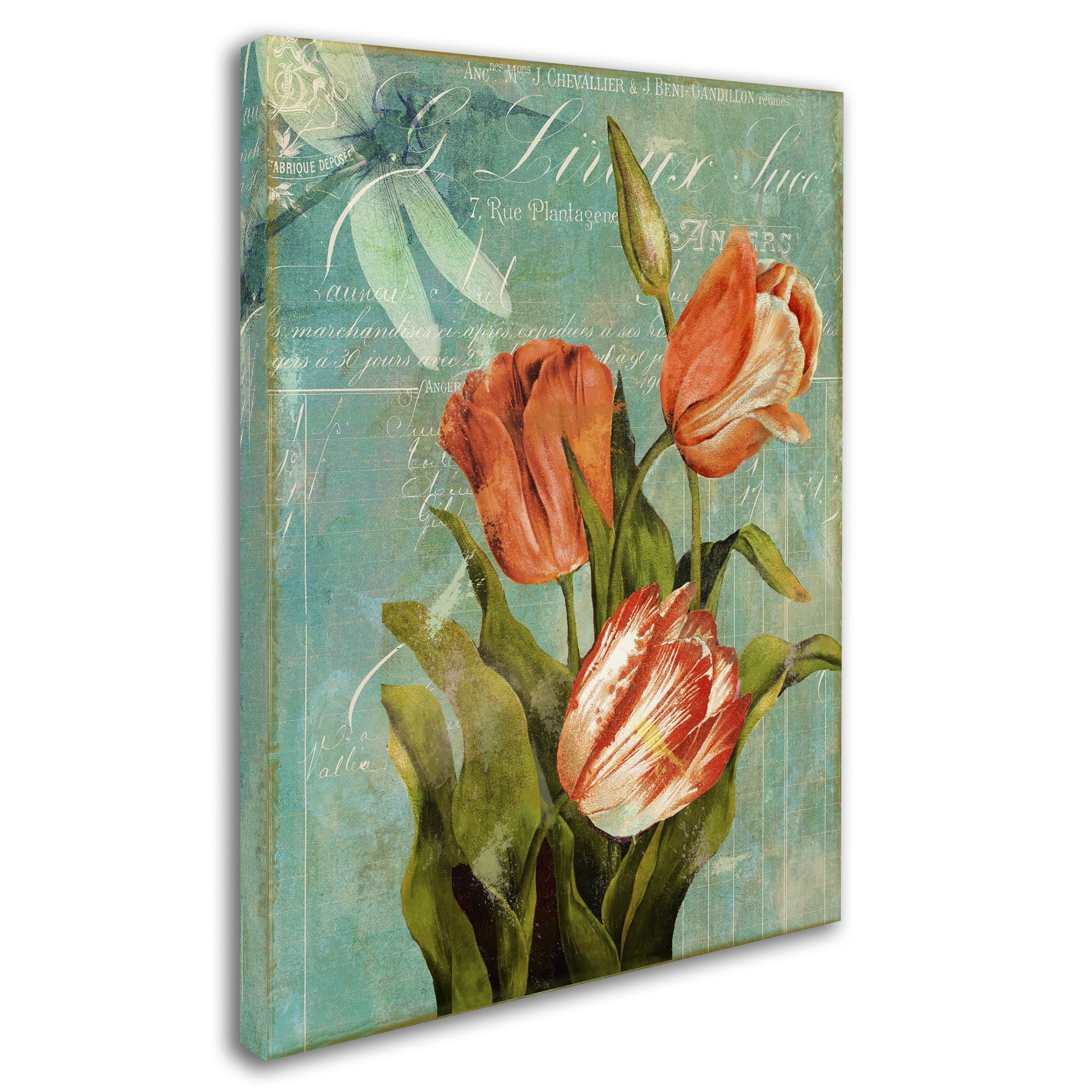 Trademark Fine Art "Tulips Ablaze III" Canvas Art by Color Bakery