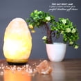 thumbnail image 6 of Natural Hand Carved Himalayan Pink Salt Lamp, 5-7lbs, 6 of 10