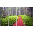 thumbnail image 2 of Sentier Désertif vers la Forêt Brumeuse, 2 of 3