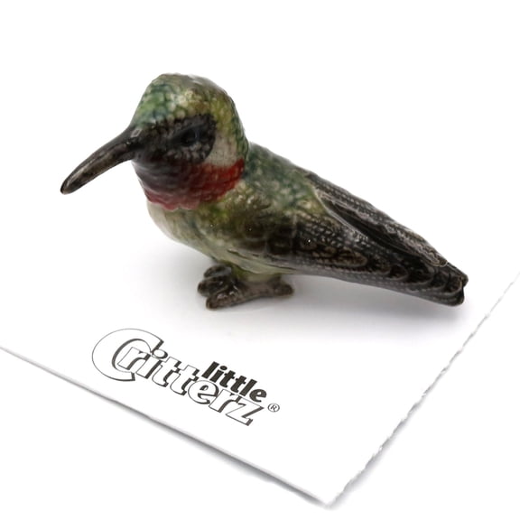Little Critterz Hummingbird Broad-tailed "Gorget" Bird - Handcrafted Home Decor Bird Decorative Figurine - Miniature Porcelain Figurine