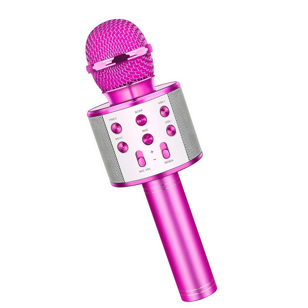karaoke microphone and speaker