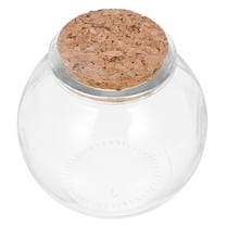 FRCOLOR Mini Glass Bottles with Cork for Storage Use Safe and Light Transparent Small Decorative Bottles 2pcs