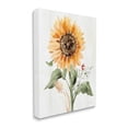thumbnail image 3 of Stupell Industries Country Sunflower Botanicals Graphic Art Gallery Wrapped Canvas Print Wall Art, Design by Katrina Pete, 3 of 7