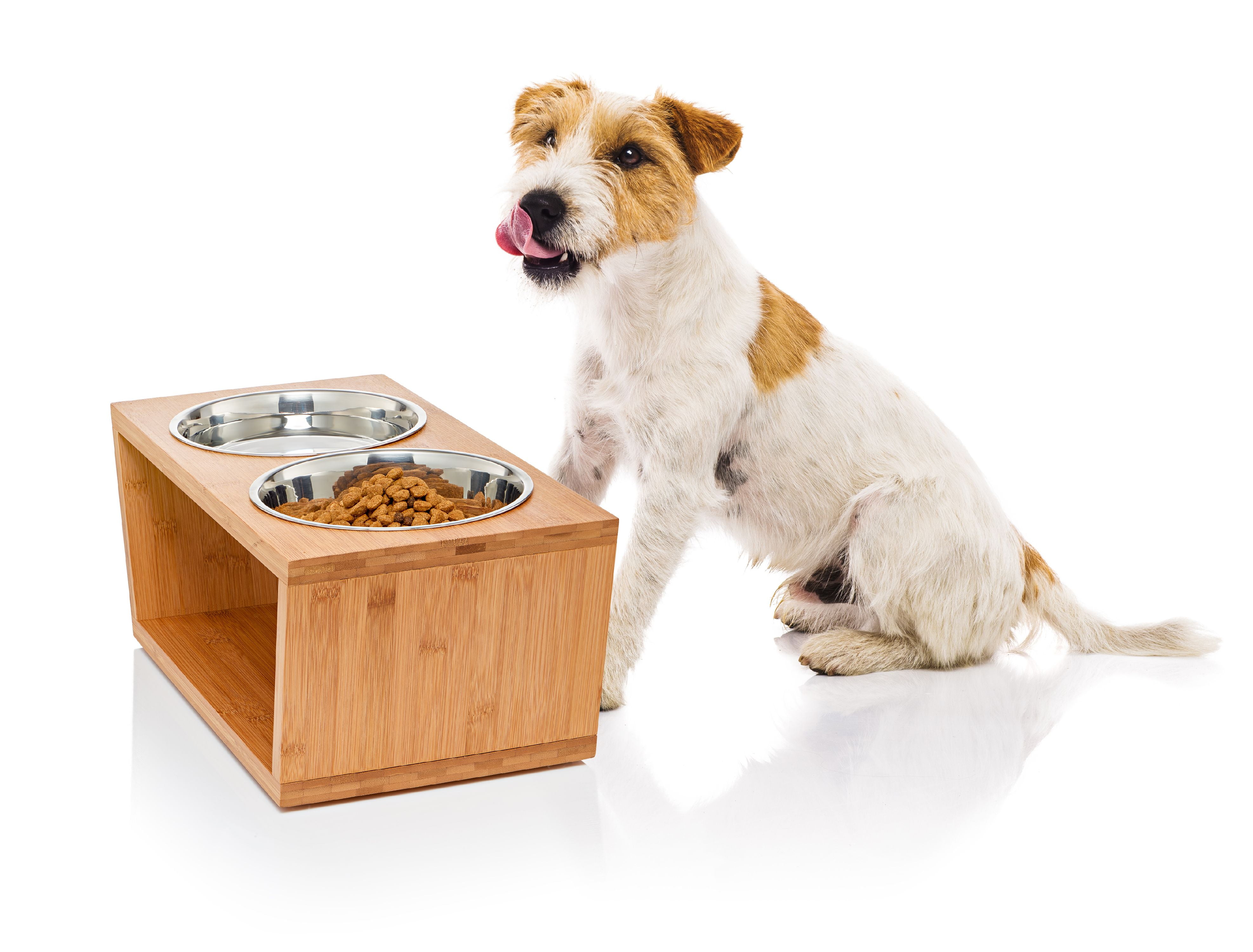pawfect pets elevated pet feeder
