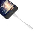 thumbnail image 3 of 3.5mm Audio Interface, Stable Connection Strong Compatibility With Strong And Pluggable Plug Type-C Adapter, Type C To USB Cable, For Mobile Phone Charging, 3 of 8