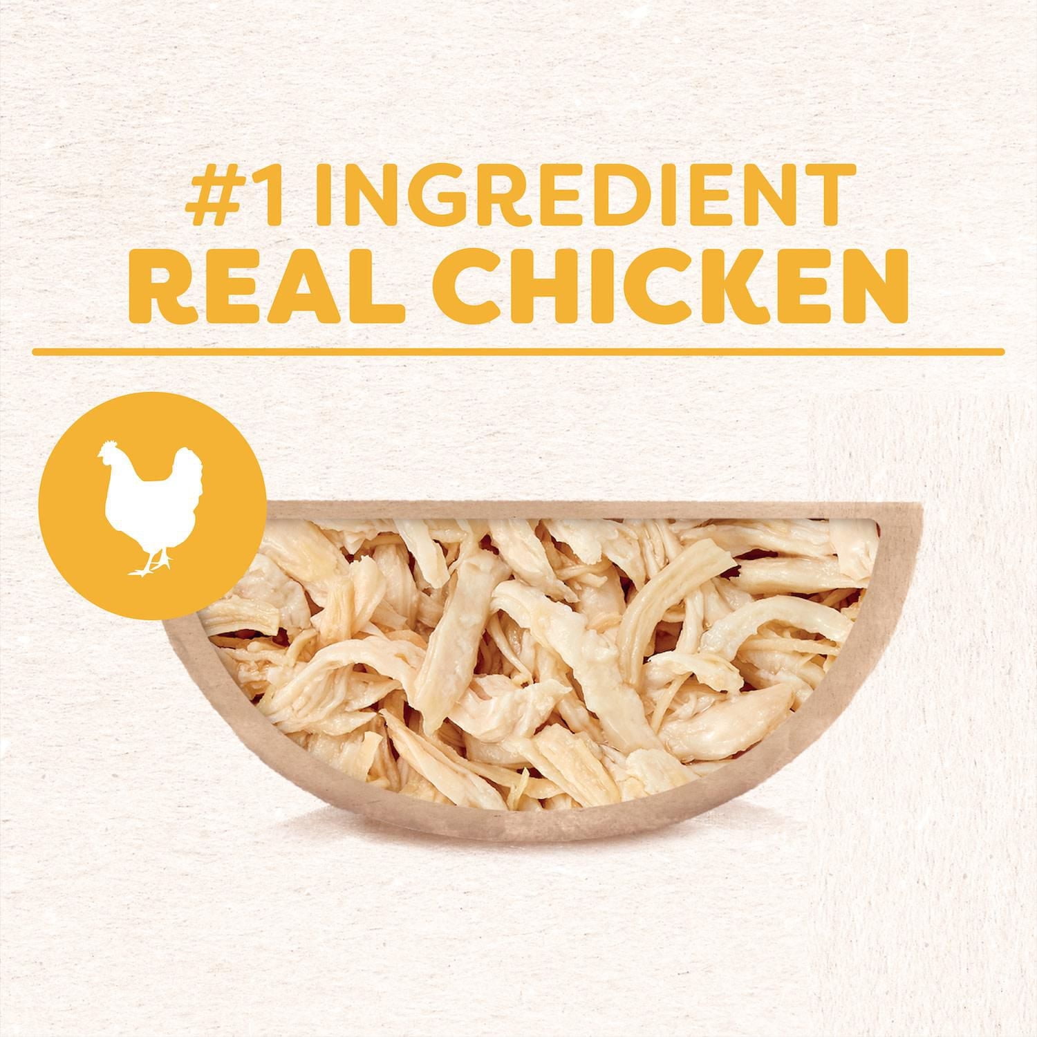 Cesar Wholesome Bowls Chicken Recipe Adult Wet Dog Food, 85g