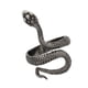 thumbnail image 3 of Anillos de Anillos de animales Banda para mujer Anillos de joyería vintage Tamaño ajustable Negro Yuyangstore Anillo de perlas de oro rosa para mujer, 3 of 8