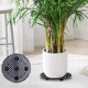 thumbnail image 3 of Macetas para Plantas Soporte de Bandeja de Base de Plástico para Riego Automático de Tela, Bolsas de Cultivo No Tejidas Uso Hidropónico para Recoger Agua Y Promover el Crecimiento, 3 of 6