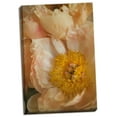 thumbnail image 2 of Gango Home Decor Peach Peonies I by Karyn Millet (Ready to Hang); One 24x36in Hand-Stretched Canvas, 2 of 4