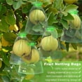 thumbnail image 5 of 50pcs Fruit Grape Protection Bags Agricultural Pest Control Anti-Bird Garden Mesh Netting Bags for fruit trees vegetable, 5 of 9