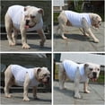 thumbnail image 4 of 2019 Summer Pet Clothing, Dog Clothes Blank T-Shirts Ribbed Tanks Top Thread Vests for Large Medium Small Dogs 100% Cotton White L-M, 4 of 5