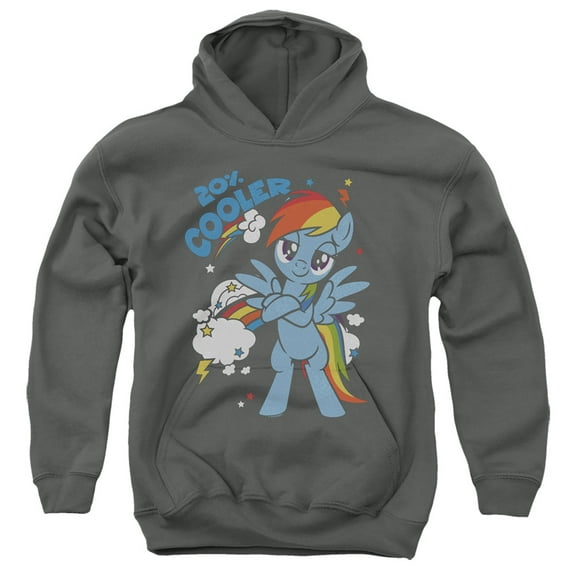 My Little Pony TV 20 Percent Cooler Youth Pullover Hoodie Sweatshirt Charcoal