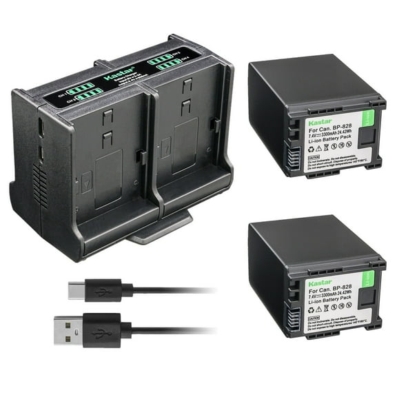 Kastar 2-Pack Battery and Quadruple Charger Compatible with Canon BP-820 BP820, BP-828 BP828 Battery, CG-800 CG800 Charger, VIXIA HF G21, VIXIA HF G30, VIXIA HF G40, VIXIA HF G50 UHD 4K Camera