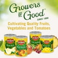 thumbnail image 5 of Del Monte Yellow Cling Sliced Peaches Canned Fruit 15.25 oz Can (Pack of 2), 5 of 5