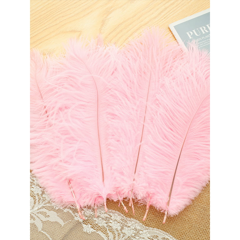  Natural Pink Large Ostrich Feathers Making Kit 10 Pcs