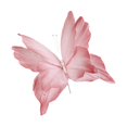 thumbnail image 3 of yotijay Artificial Butterfly Decoration DIY Giant Butterfly for Wedding Bedroom Wall Pink, 3 of 9