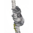thumbnail image 2 of Sheppard, Lucca 12x14 Black Ornate Wood Framed with Double Matting Museum Art Print Titled - Sleepy Sloths, 2 of 4