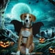 thumbnail image 4 of Disfraz De Halloween Para Mascotas, Disfraz De Alas De Murciélago Para Mascotas Con Campana De Calabaza Para Mascotas, Accesorios De Cosplay Para Fiesta De Halloween Eigraketly HA037344-00, 4 of 6