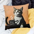 thumbnail image 2 of BANET  Love Cats Cat Pillow Covers ,Cat Decor Decorations for Cat Lovers,Cat Room Home Decorcat, Gifts for Cat Lovers,Tuxedo Cat Gift 18x18in, 2 of 5