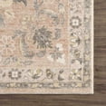 Coalburn Floral Oriental Living Room Bedroom Area Rug Vintage