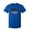 Royal Blue, variant on Irony Opposite of Wrinkly Sarcastic Humor Graphic Novelty Funny Tall T Shirt