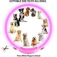 thumbnail image 3 of 2-Pack LED Dog Collar , Light Up Dog Collars,Rechargeable Dog Lights for Night Walking，Universal, Reusable Safety Necklace? RED&Pink, 3 of 7