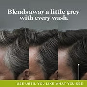 Just For Men Control GX Grey Reducing Shampoo, Gradual Hair Color for Stronger and Healthier Hair, 4 Fl Oz (Pack of 1) - Packaging May Vary