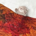 thumbnail image 2 of Pofeuu Autumn Leaf Print Puppy Blanket,Dog Blankets,Pet Blanket Cozy Cat Blankets for Indoor Cats, Fuzzy Pet Blanket for Kitten Doggy Dog Blankets-Large, 2 of 8