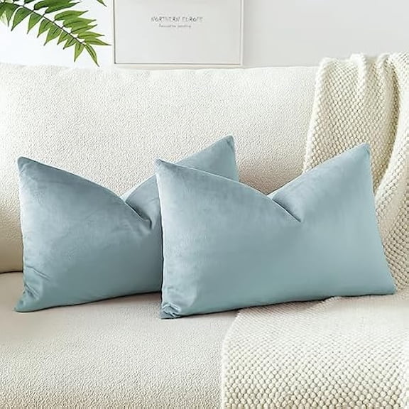 Eryueer Set of 2 Velvet Soft Solid Cushion Covers 30x50 cm Decorative Throw Pillow Covers Soft Lumbar Cushion Case Couch Home Decor Throw Pillow Cases for Sofa Bedroom 12x20 Inch (Light Blue)