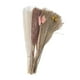 thumbnail image 4 of 70 piezas de ramo de flores secas, hierba de la pampa, hierba de junco, colas de conejo rosadas, botón Billy amarillo, decoración de flores secas, 4 of 14