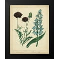 thumbnail image 2 of Edwards, Sydenham 15x18 Black Modern Framed Museum Art Print Titled - Cottage Florals VI, 2 of 5