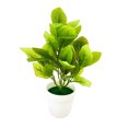 thumbnail image 2 of SPRING PARK Small Potted Fake Bonsai Plant Artificial Flowers for Home Office Table Decor, 2 of 6