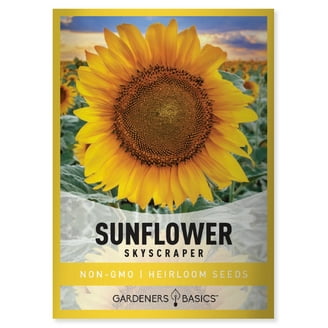 Ferry-Morse 625MG Sunflower Fun Sunny Hybrid Mix Annual Flower
