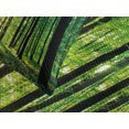 thumbnail image 4 of Ambesonne Forest Quilted Bedspread Set 3 Pcs, Green Woodland Sunrise, Queen Size, Green Black Yellow, 4 of 5
