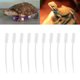 thumbnail image 4 of Alimentador de reptiles ANGGREK Tubo de Alimentación de Plástico para Lagartos, 4 of 8