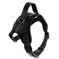 thumbnail image 1 of Methold Arnés para perros sin tirar, Collar con correa, chaleco acolchado ajustable para cachorros, talla S/M/L/XL Suministros para perros negro S, 1 of 6