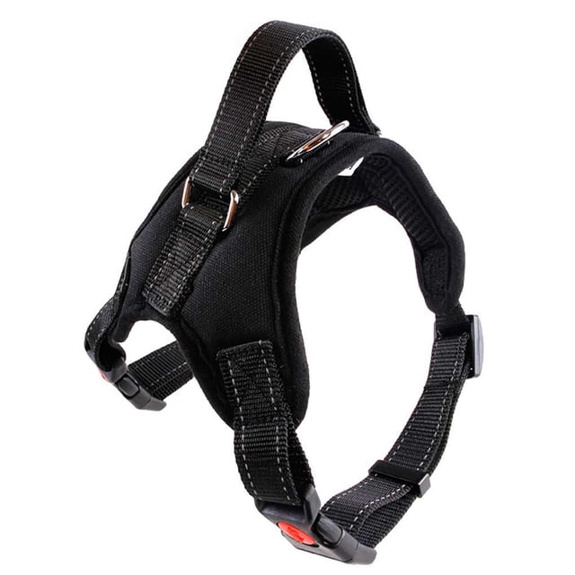 Methold Arnés para perros sin tirar, Collar con correa, chaleco acolchado ajustable para cachorros, talla S/M/L/XL Suministros para perros negro S