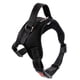 thumbnail image 1 of Greeniant Arnés para perro grande, ajustable, para caminar con correa de mano, Collar, talla suave S-XL Suministros para perros negro S, 1 of 1