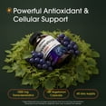 thumbnail image 3 of NatureBell Resveratrol - 180 Vegetarian Capsules - 1,000mg Polygonum Cuspidatum Extract - Antioxidant Support - Heart, Brain & Immune Wellness - 60 Servings, 3 of 8
