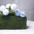 thumbnail image 6 of Efavormart 23.5" Rectangle Preserved Moss Planter Box Moss covered Planters with Inner Lining, 6 of 11