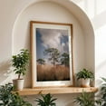 thumbnail image 4 of Longleaf Pine - Ocala Florida Photography Nature Landscape Forest Scenic Woods Woodland Oak Framed Wall Art Print 5 x 7 inches, 4 of 59
