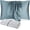 Blue Gray, variant on DISANGNI 100% Natural Mulberry Silk Pillow case for Hair and Skin with Hidden Zipper 22 Momme Both Sides Real Silk Pillow Case (1 pc Standard Size 20"x26", Green)